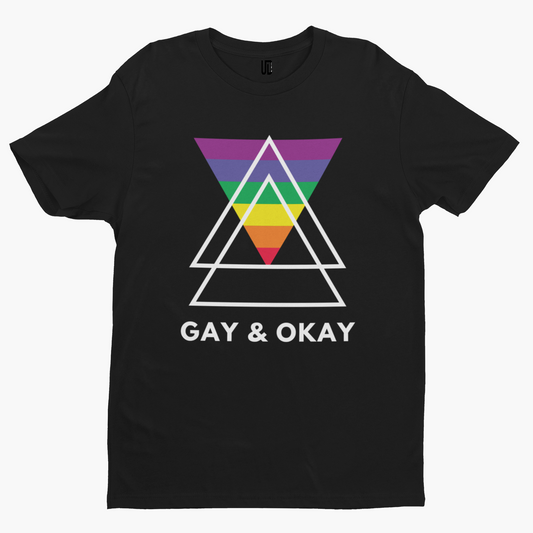 Gay and Okay T-Shirt - Gay LGBTQ Pride Rainbow Festival Positivity